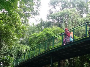 Nikmati Sejuknya Ruang Hijau Usai Pilkada di Bandung