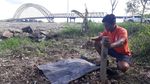 Foto: Kisah Tragis Orangutan di Berbagai Daerah di Indonesia
