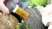 Tempat penyimpanan rahasia yang satu ini cocoknya disimpan di halaman rumah. Tempelkan batu ke penutup tabung bekas obat, dan simpan di tempat yang cukup tersembunyi. Istimewa/Boredpanda.