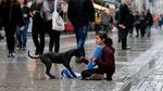 Foto: Keakraban Gadis Pengamen Suriah dengan Anjing Liar di Turki
