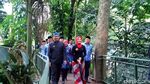 Bandung Punya Forest Walk Terpanjang di ASEAN