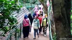 Foto: Destinasi Alternatif di Bandung Pengganti Tangkuban Perahu