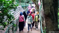Kalau tidak bisa menikmati alam di Tangkuban Perahu, jangan kuatir. Untuk traveler yang menyukai destinasi hutan kota, bisa datang ke Babakan Siliwangi. (Mochamad Solehudin/detikcom)