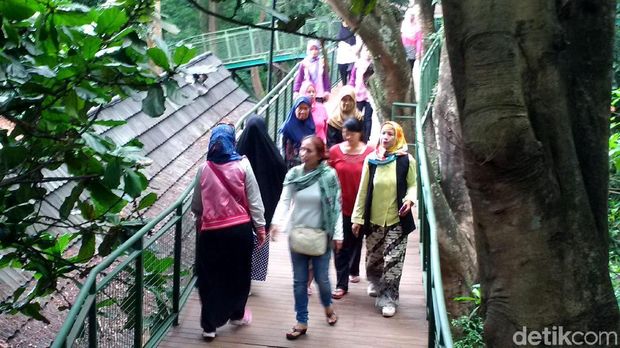 Tangkuban Perahu Erupsi, Ini 5 Destinasi Alternatif di Bandung