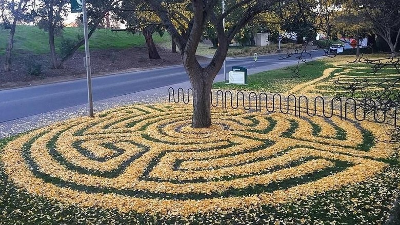 3000+ Gambar Daun Untuk Instagram HD Paling Keren 3000+ Gambar Daun Untuk Instagram HD Paling Keren
