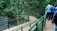 Forest walk merupakan fasilitas untuk pejalan kaki yang menjadi bagian dalam penataan hutan kota Babakan Siliwangi.