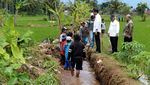 Susuri Sawah, Jokowi Cek Padat Karya Cash di Tasikmalaya
