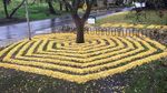 Foto: Kreatif, Daun Musim Gugur Bisa Dibuat Keren Begini