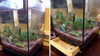 Tempat penyimpanan yang satu ini benar-benar seperti harta karun bajak laut yang berada di bawah air. Benar-benar di bawah air. Istimewa/Boredpanda.