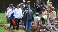 Pembangunan saluran irigasi tersier tersebut merupakan salah satu wujud pelaksanaan program Padat Karya Tunai yang dicanangkan pemerintah melalui Kementerian Pekerjaan Umum dan Perumahan Rakyat serta melibatkan masyarakat setempat. Kris/Setpres.
