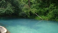 Mau berwisata alam di Nigeria, cobalah ke Yankari National Park. Di sana, ada berbagai macam koleksi fauna dan flora serta atraksi alam yang bagus. Salah satu tempatnya yakni kolam biru jernih yang bisa digunakan untuk berenang (TripAdvisor)