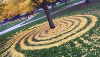 Joanna membuat karya seni ini di taman tempatnya dia bekerja, di Sacramento State University. Joanna bekerja sebagai staff konseling (Joanna Hedrick/Instagram)