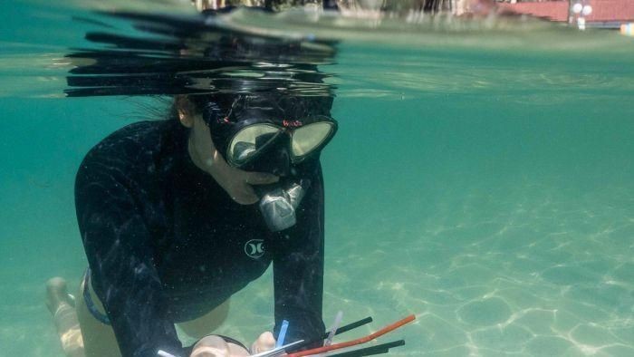 Proyek Pembersihan Limbah Sedotan Plastik di Sydney