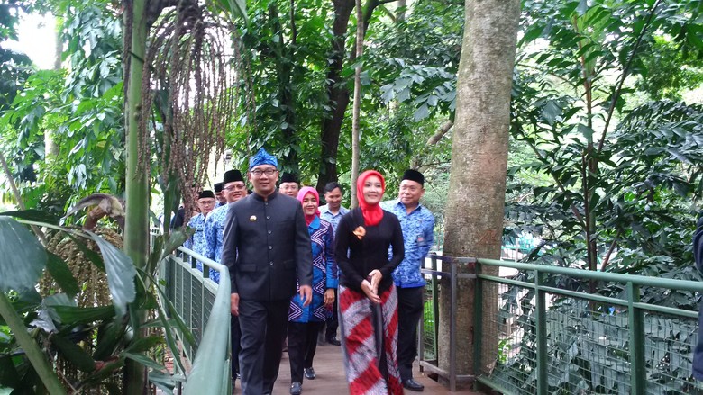 Forest Walk Baksil Bandung Diklaim Salah Satu Terpanjang Di