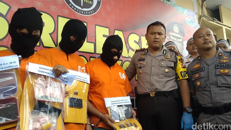 3 Pemuda Cirebon Nekat Jual Tembakau Gorila ke Mahasiswa 3 Pemuda Cirebon Nekat Jual Tembakau Gorila ke Mahasiswa