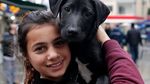 Foto: Keakraban Gadis Pengamen Suriah dengan Anjing Liar di Turki