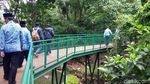 Bandung Punya Forest Walk Terpanjang di ASEAN