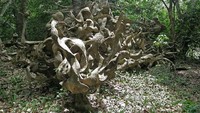 Terletak di selatan Nigeria, ada Osun Osogobo yang merupakan taman dengan patung-patung unik. Tepatnya, berada di Osgobo, Nigeria(World Monuments Fund)