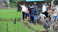 Menteri PUPR Basuki Hadimuljono dan Gubernur Jawa Barat Ahmad Heryawan ikut mendampingi Jokowi saat meninjau ke lokasi. Kris/Setpres.