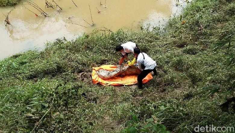 Mayat Pria dalam Karung Ditemukan di Pinggir Sungai Pekalongan Mayat Pria dalam Karung Ditemukan di Pinggir Sungai Pekalongan