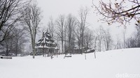 Puas berfoto dengan salju deh di Chamonix (Afif Farhan/detikTravel)