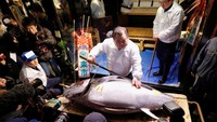 Di pasar ikan Tsukiji juga kerap diadakan lelang ikan tuna. Banyak orang rela mengeluarkan uang miliaran rupiah demi mendapat tuna terbaik. Foto: Istimewa