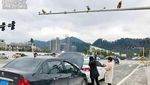 Kecelakaan Mobil Terjadi Gara-gara Pantat Monyet Ini