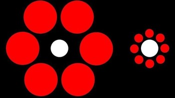 Kelihatannya dua bulatan putih ini punya ukuran yang berbeda, padahal sama! Foto: Instagram/salespodder