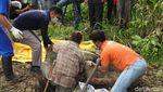 Foto: Kisah Tragis Orangutan di Berbagai Daerah di Indonesia