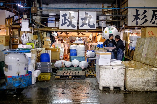 Menariknya Suasana di Pasar Ikan Tsukiji dan Aksi Arsy Hermansyah Saat Makan