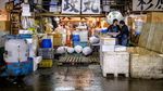 Intip Suasana Tsukiji Fish Market, Pasar Ikan Terbesar di Dunia