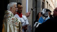 Seekor anjing sedang diberkati di luar Gereja San Anton di Madrid, Spanyol, 17 Januari 2018. (Foto: Dok. REUTERS/Susana Vera)