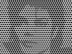 Ilusi Optik yang Bikin Terkesima, Kok Bisa Ya?