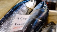 Lebih dari 480 jenis seafood dijual tiap hari di sini. Karenanya seorang professor antropologi Harvard menyebut Tsukiji sebagai pusat industri perikanan global. Foto: Istimewa