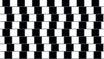Cafe wall ilussion sebenarnya adalah garis-garis yang lurus! Ilusi optik sendiri terbagi menjadi ilusi kognitif dan fisiologi, nah ini adalah contoh dari ilusi kognitif. (Foto: optical-illusions.info)
