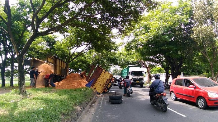 As Roda Patah, Truk Bermuatan Serbuk Kayu Terguling di Gresik