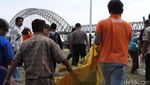 Foto: Kisah Tragis Orangutan di Berbagai Daerah di Indonesia