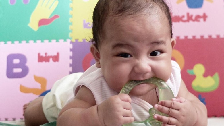 Ide Nama Bayi Laki-laki dari Bahasa Kroasia/ Foto: Dani Irawan Ide Nama Bayi Laki-laki dari Bahasa Kroasia/ Foto: Dani Irawan