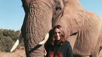 Saat Neymar sekeluarga liburan ke Afrika, Bruna pun turut serta. Di sana dia malah berfoto dengan gajah. (Instagram/Bruna Marquazine)