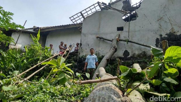 Pohon tumbang timpa rumah/