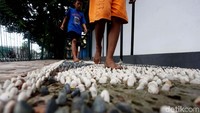 Ada pula area khusus untuk refleksi injak batu.