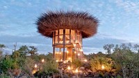 Struktur bangunannya didominasi oleh material kayu. Terdapat beberapa bilik jendela untuk mengintip dari dalam ruangan. Istimewa/Inhabitat.