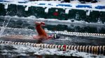 Foto: Brrr! Lomba Renang Ekstrem di Dalam Kolam Es