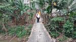 Masih Bikin Ngeri, Ini Penampakan Jembatan Gantung Depok-Jaksel