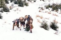 Mereka mendaki menggunakan baju Viking (Projekt Viking/Facebook)