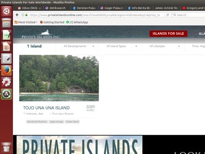 Pulau di RI yang Dijual Online Lenyap, Sudah Laku?