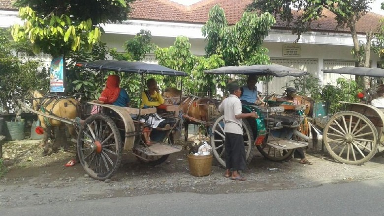 Andong, Moda Transportasi yang Bertahan di Ponorogo Andong, Moda Transportasi yang Bertahan di Ponorogo