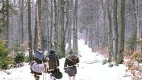 Mereka pun membagikan proyek ini di dalam akun instagram dan Facebook mereka yang bernama Projekt Viking. (Projekt Viking/Facebook)