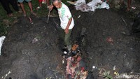 Beberapa bangkai anjing itu pun kemudian langsung dikubur.