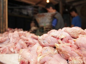 Harga Sembako Jogja Hari Ini 9 Februari 2026: Daging-Telur Ayam Makin Mahal!